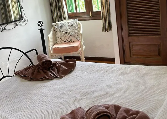 Acacias Puerto del Carmen (Lanzarote)