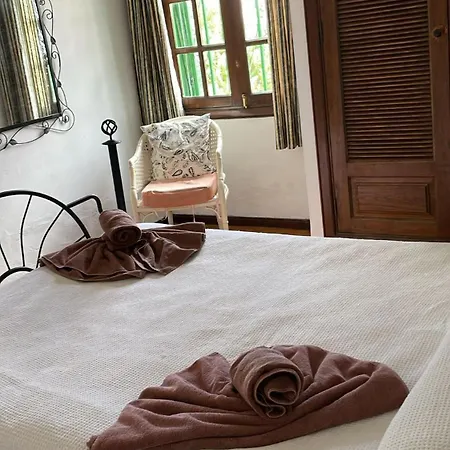 Acacias Puerto del Carmen (Lanzarote)